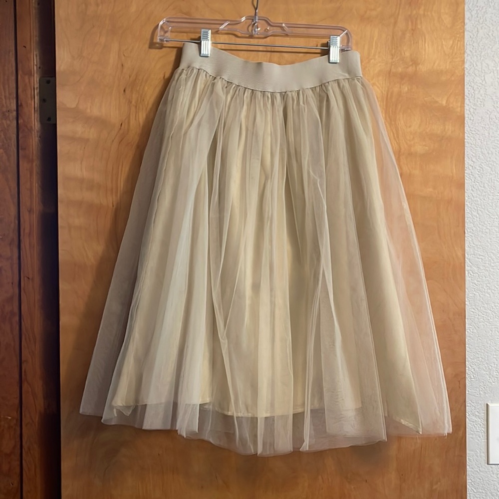 Tulle Skirt